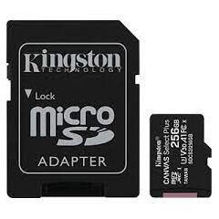 მეხსიერებისწ ბარათი: Kingston 256GB SDXC C10 UHS-I R100MB/s-image | Hk.ge