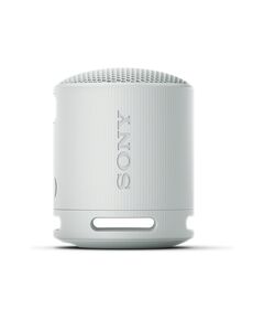 Wireless Speaker/ Sony/ SONY PORTABLE SPEAKER Gray (SRS-XB100/HCE)-image | Hk.ge