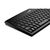 კლავიატურა Keyboard/ Genius Keyboard Luxmate 100 RU, USB Black 112241-image2 | Hk.ge